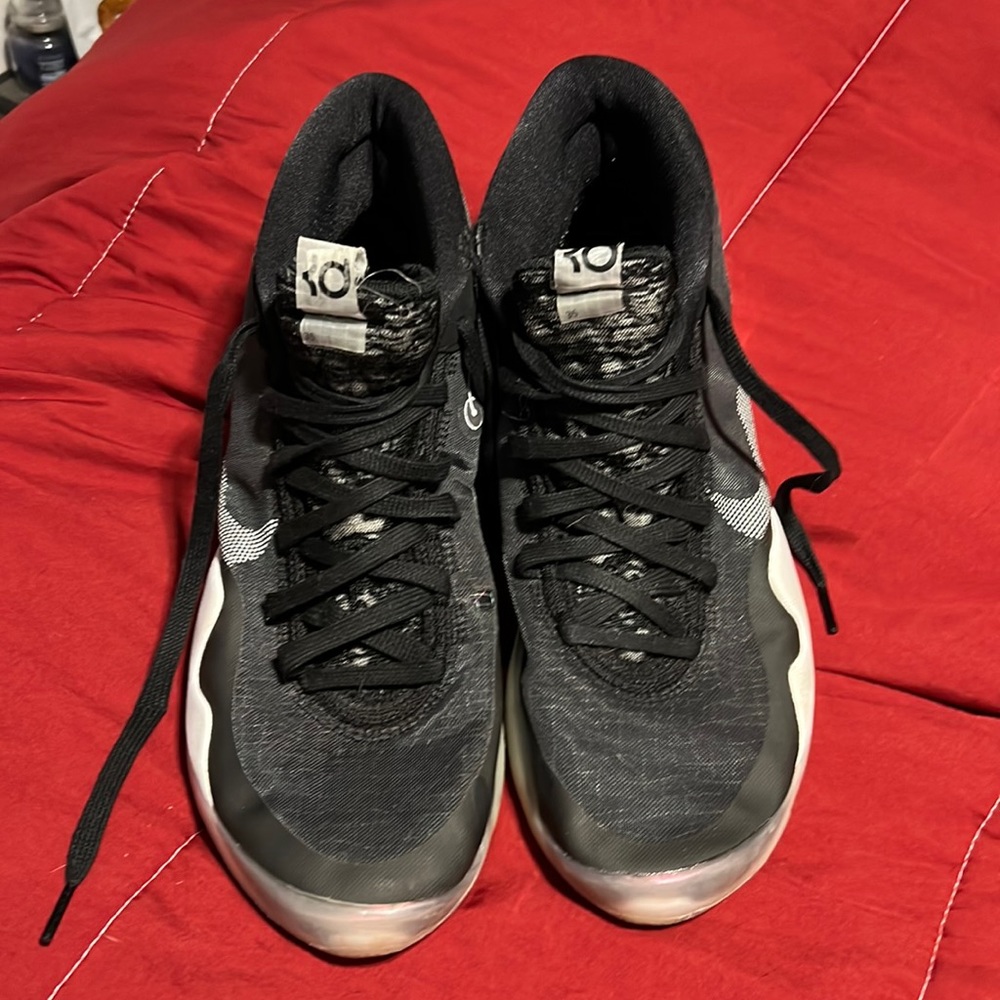 Kd 12 size size 11.5